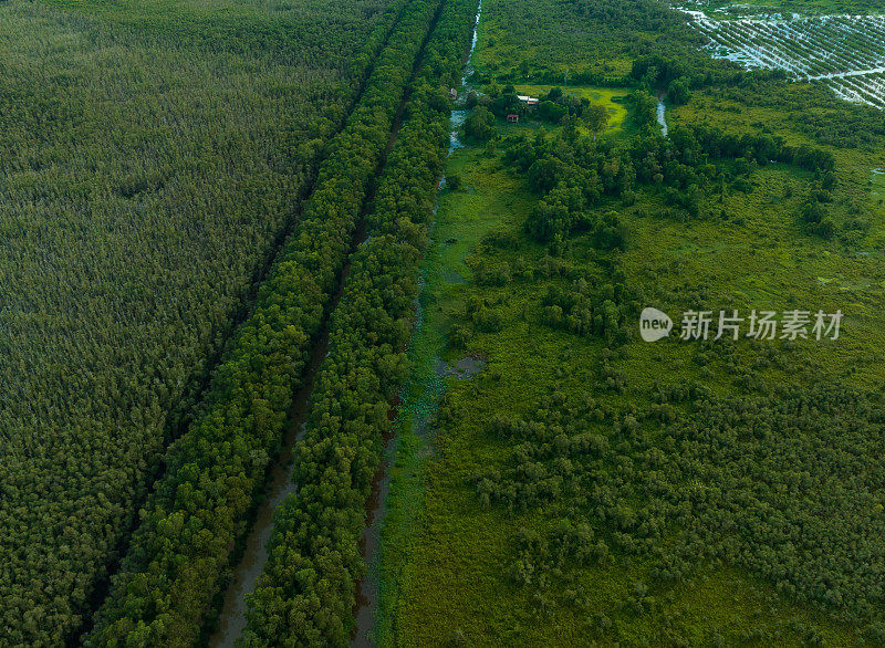 龙安省朗森湿地保护区，世界湿地之一