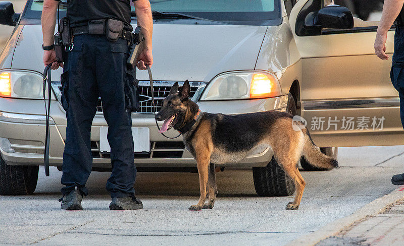 警犬搜查车辆