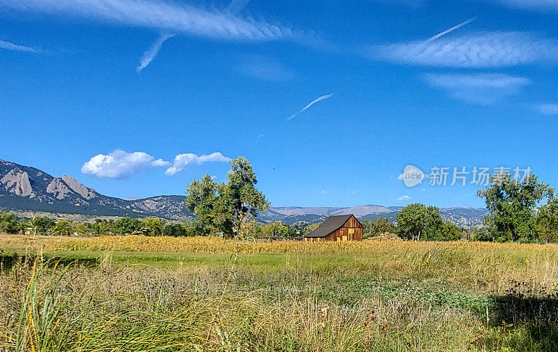 秋天的香蒲、牧场、谷仓和山脉。科罗拉多博尔德。