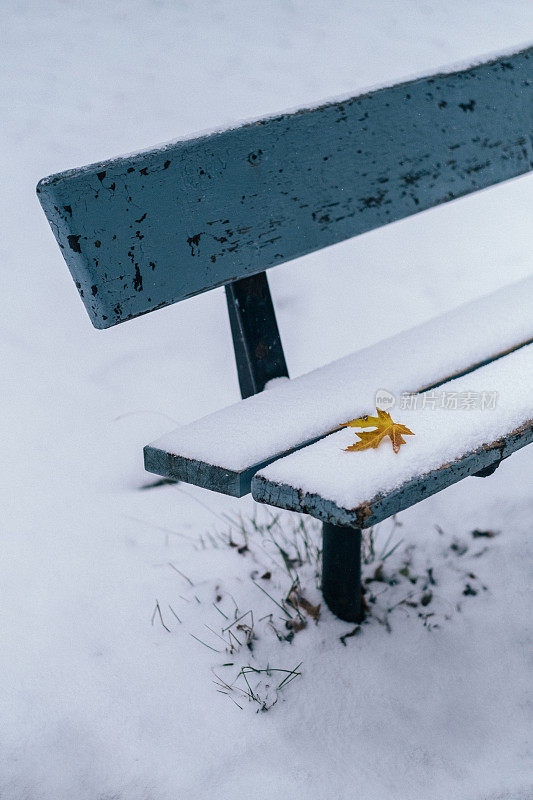 空旷的公园长椅上，刚刚落下的雪上的秋叶