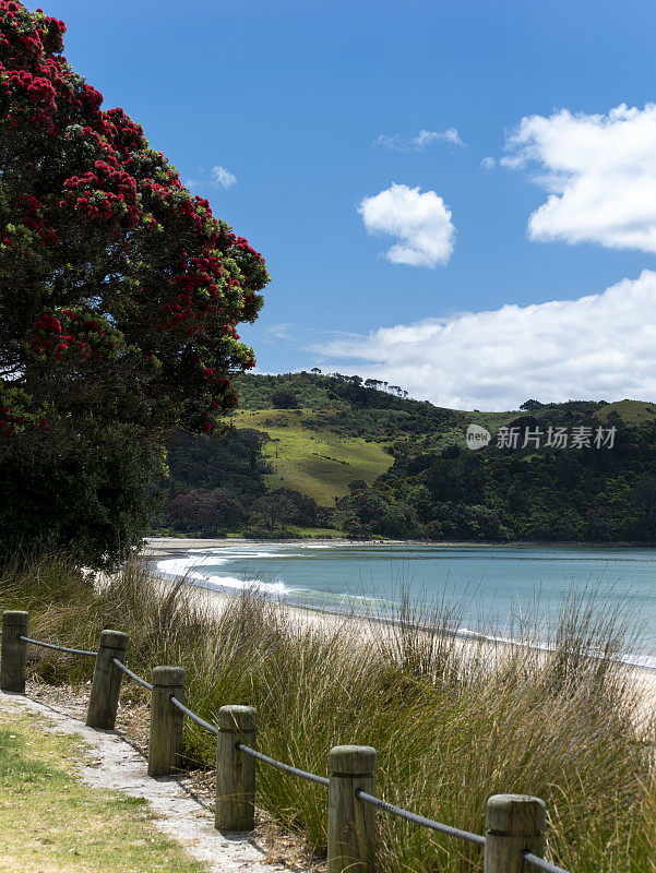 新西兰海岸线鸟瞰图