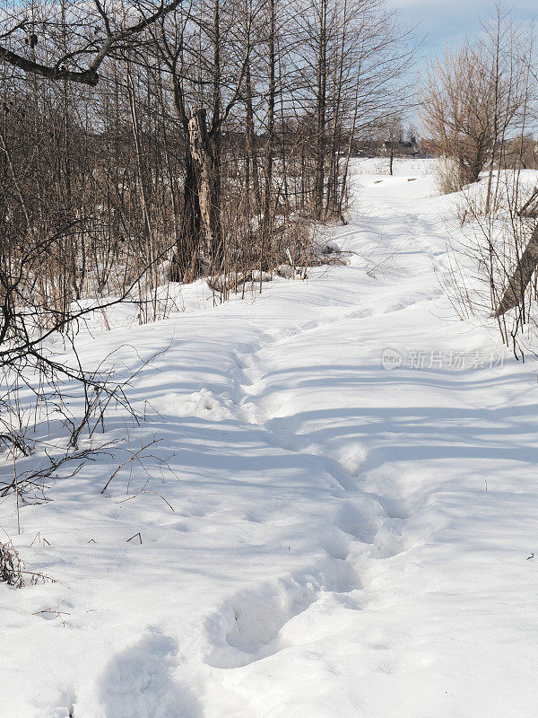 雪地上的脚印