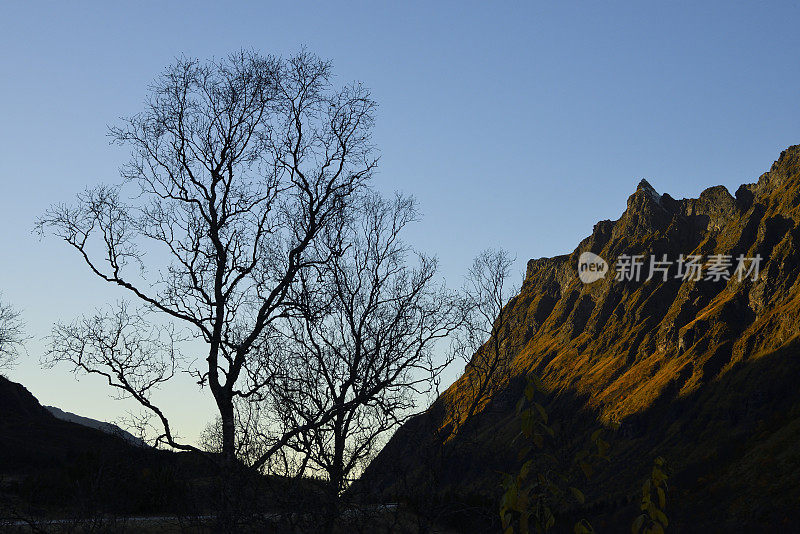 罗浮敦群岛的光秃秃的树木和轮廓分明的山脉