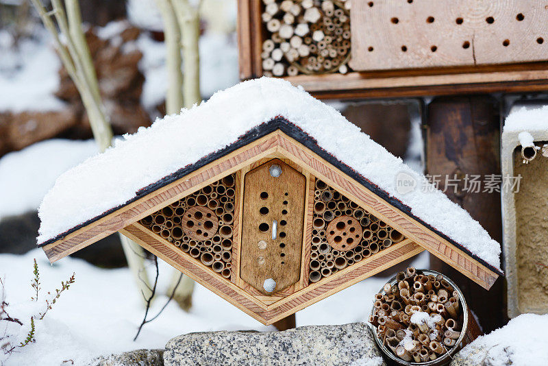 冬天和雪在昆虫酒店与野蜜蜂和黄蜂。
