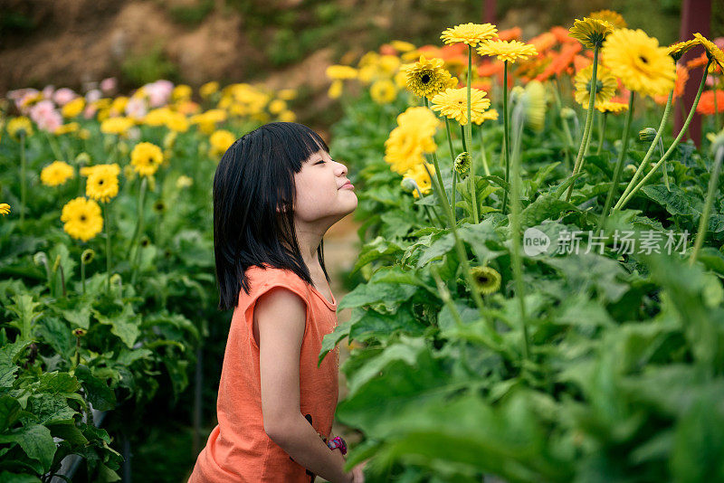 穿着橙色衬衫的年轻亚洲女孩闻着花香