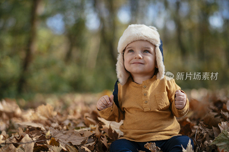 婴儿坐在秋天的树叶公园的地上