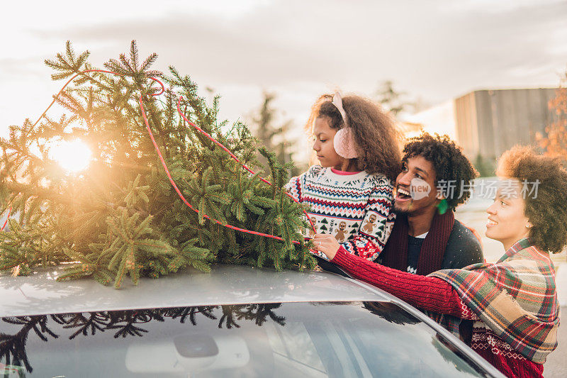 微笑的人们把圣诞树绑在车上