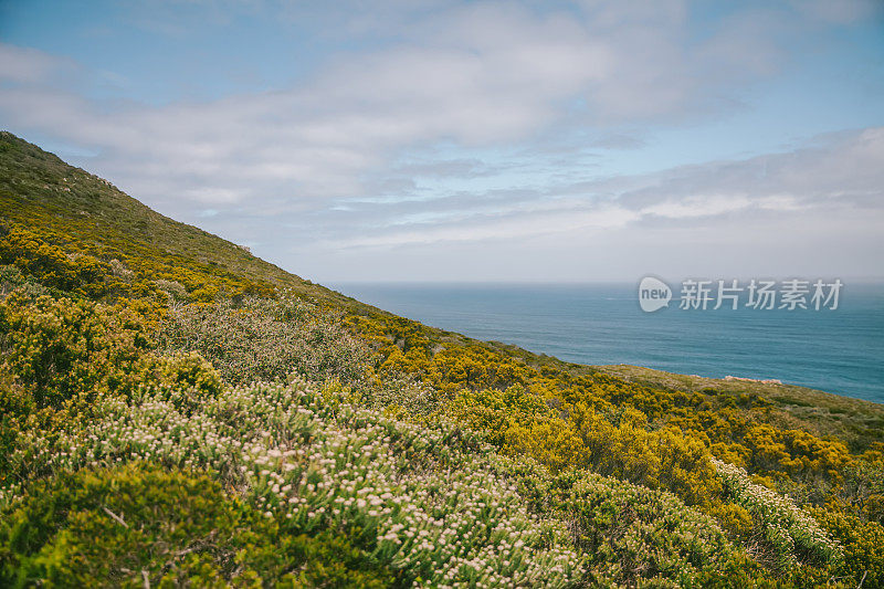 岬的风景