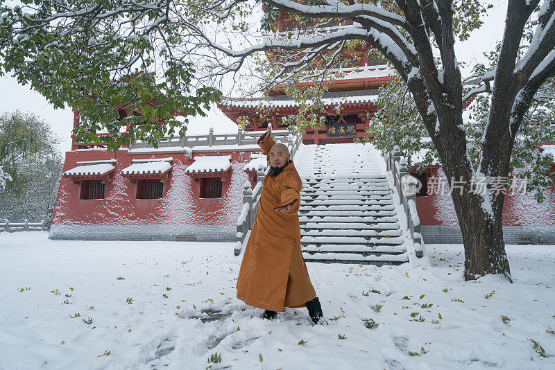 中国少林寺功夫武僧