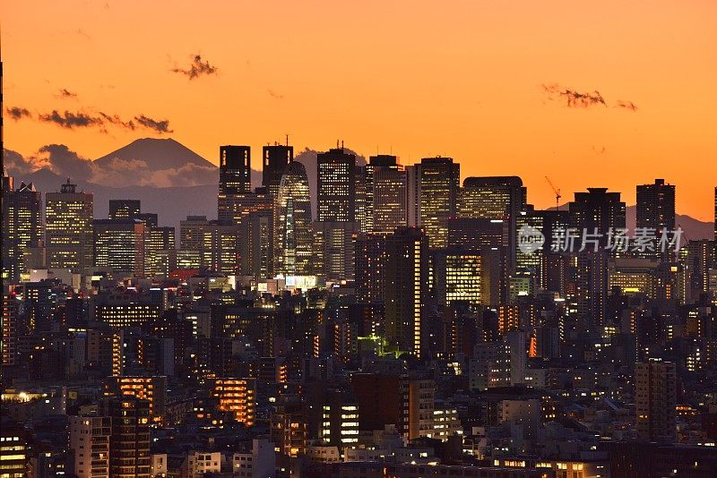 富士山和东京的天际线:白天和黑夜