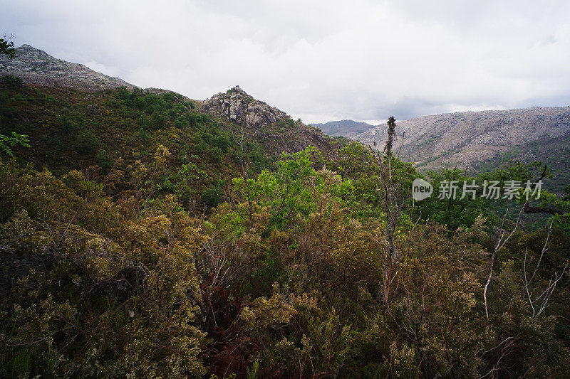 米尼奥的山地景观