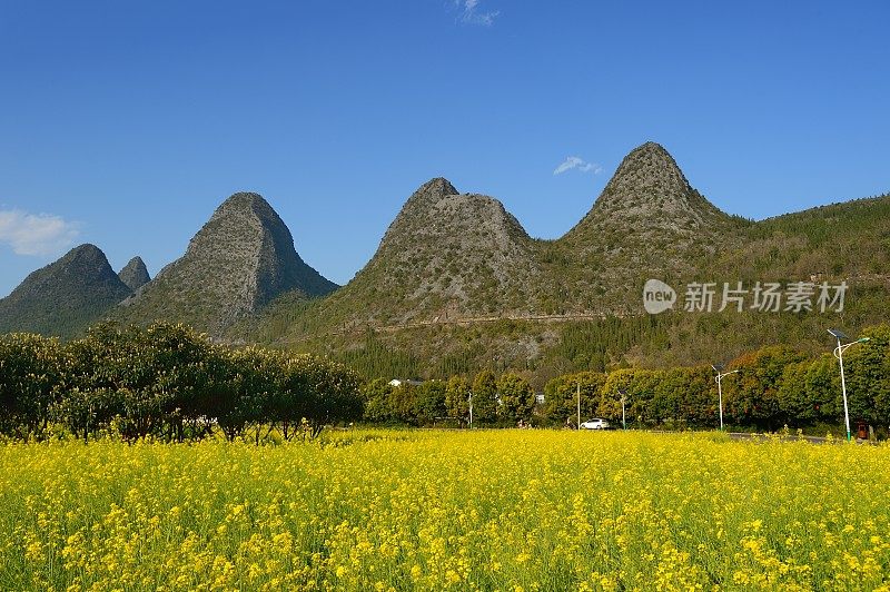 喀斯特山峰和油菜花田