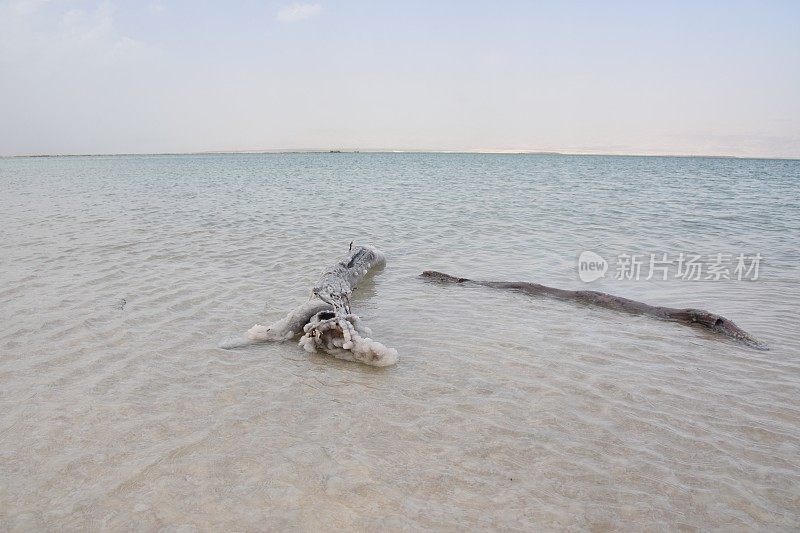 死海里一根撒满盐的水管