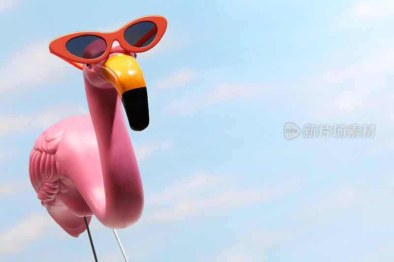 粉红色的火烈鸟戴着大大的橙色太阳镜