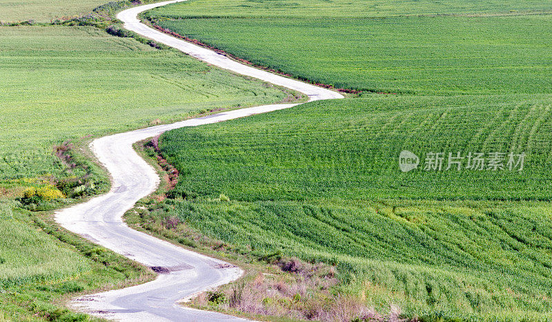 蜿蜒的道路