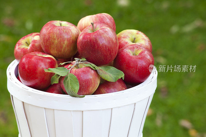 一个篮子里的蜂蜜脆苹果