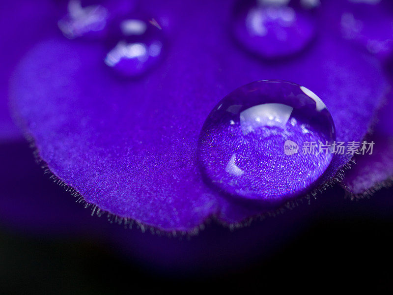 紫色水滴