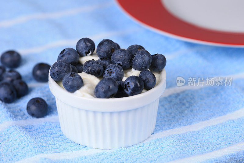 希腊酸奶和蓝莓