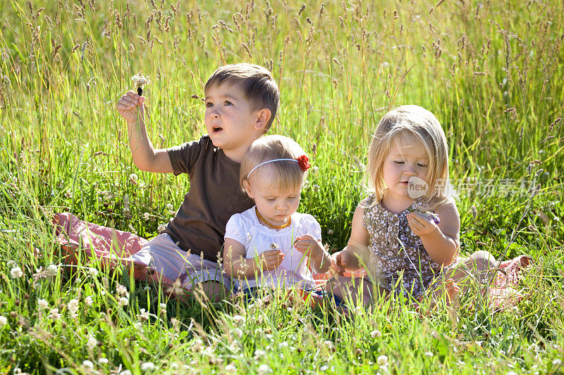 孩子们在户外玩耍，探索大自然
