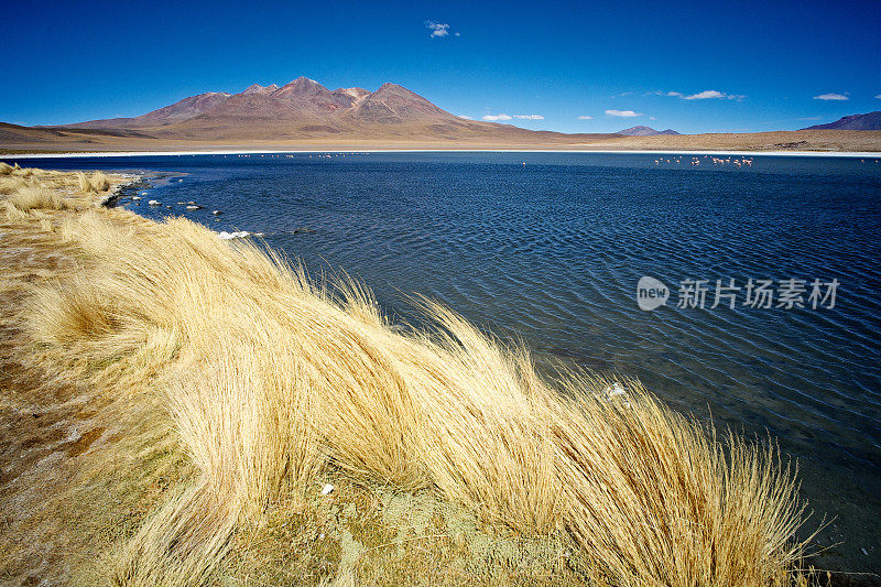 玻利维亚的泻湖