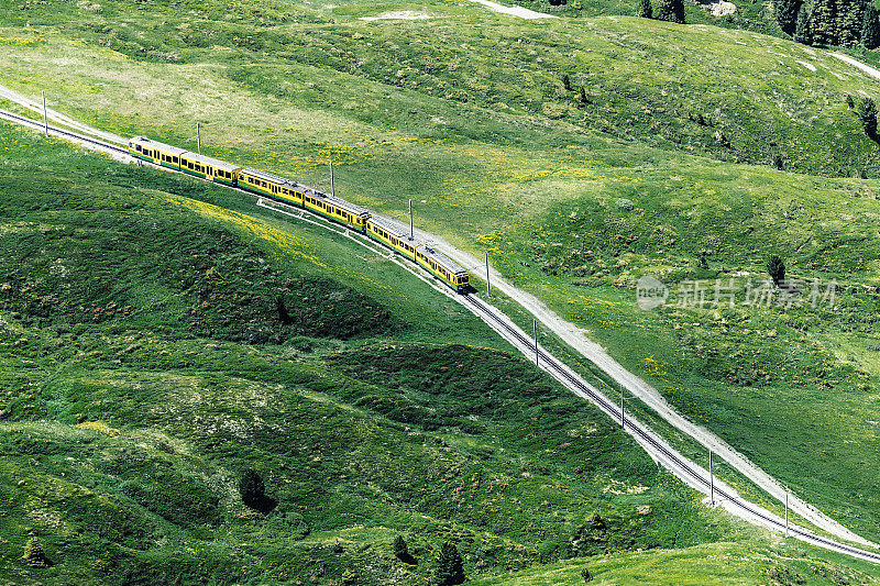 克莱恩·谢德格到格林德沃的瑞士列车