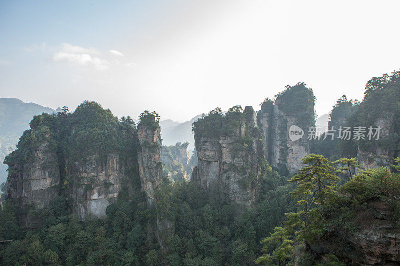 砂岩柱，张家界国家森林公园，中国