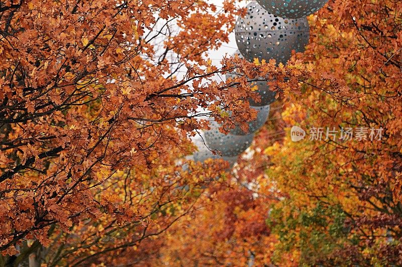 秋天-树木与大部分黄叶和街道装饰