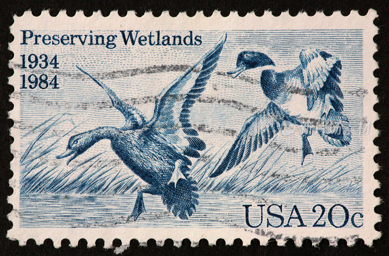 湿地保护的邮票