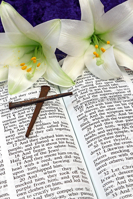 复活节百合，圣经，圣经和锈钉十字架