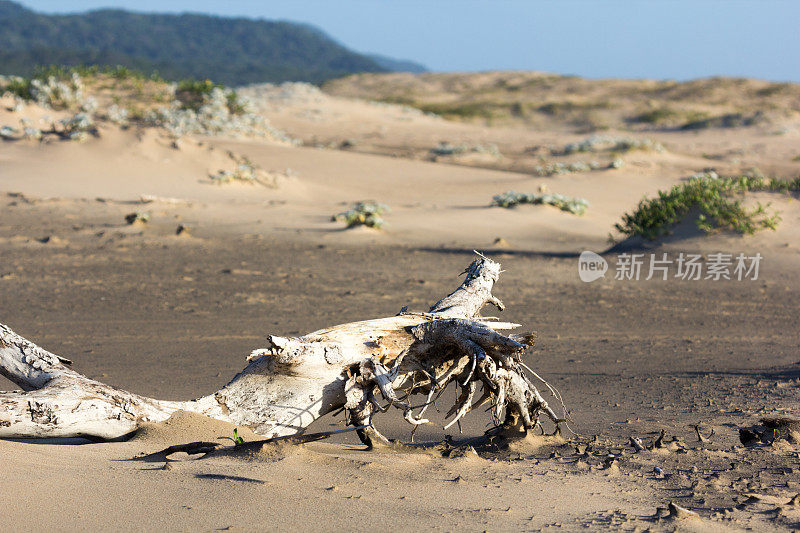 南非夸祖鲁-纳塔尔省的iSimangaliso湿地公园