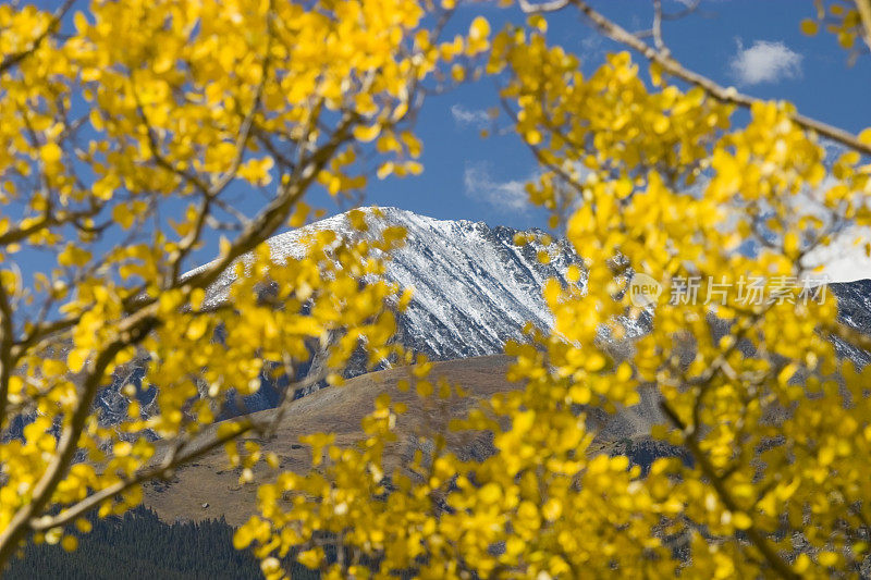 秋天的颜色在独立通过科罗拉多州