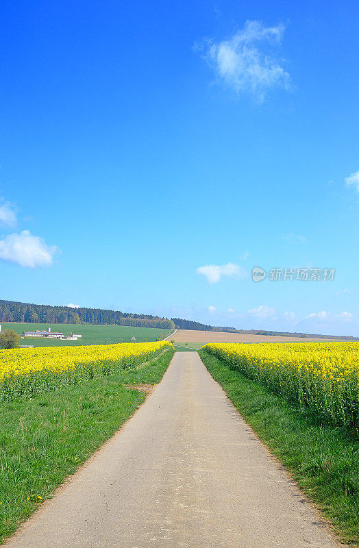 穿过花圃的农家路