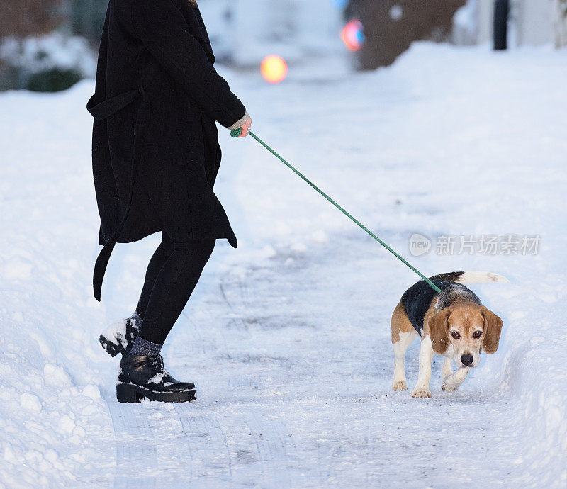 一个女人在冬天的街上遛狗