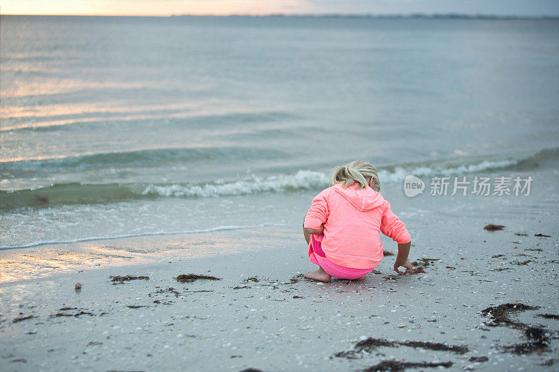 日落时分，在海洋海滩上捡贝壳的女孩