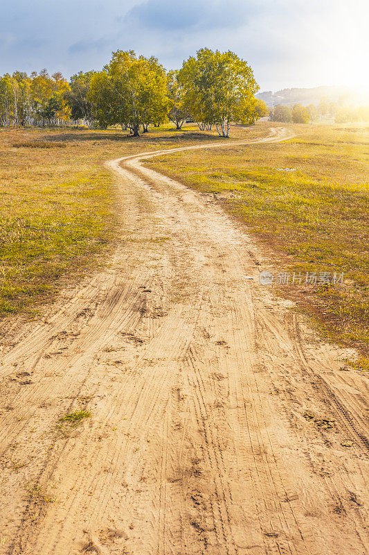 秋天的道路