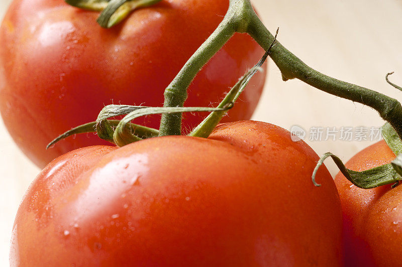 我来到Tomatoes