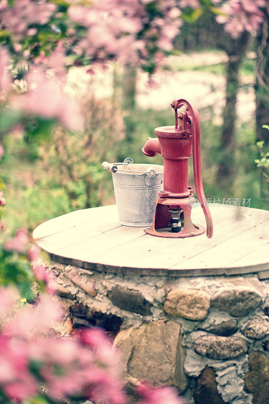 古色古香水泵上井，樱花盛开。