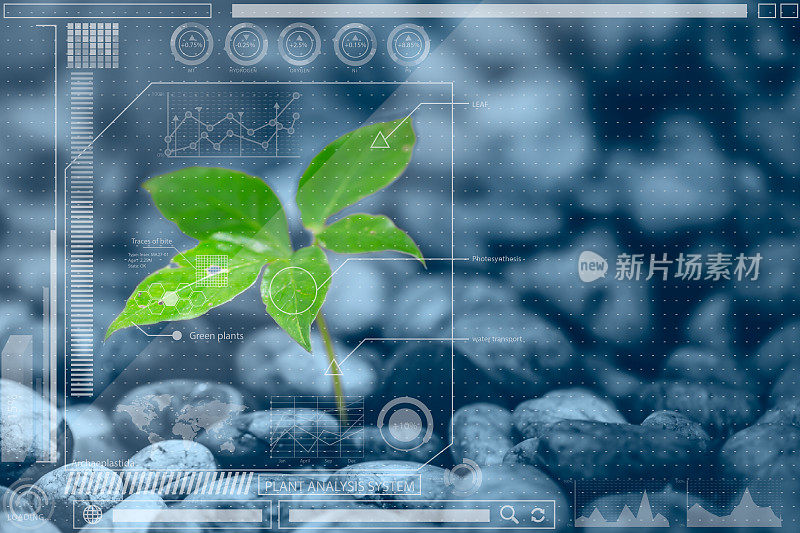 植物信息技术或植物生物学分析。图表信息混合媒体