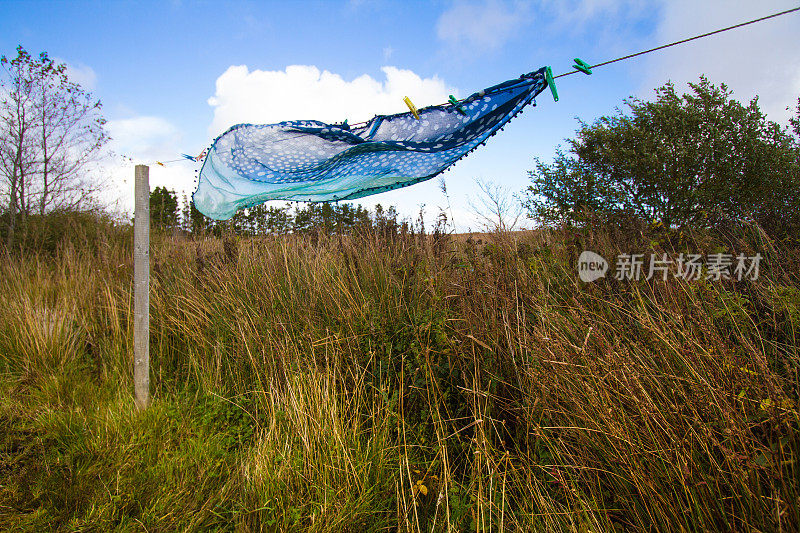 在多风的爱尔兰沼泽的绳子上晾干的围巾