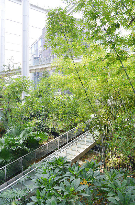 带屋顶花园的现代绿色办公建筑