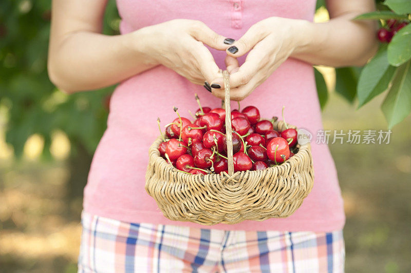 女人手里拿着装满樱桃的篮子