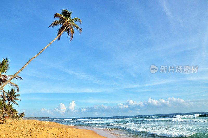 天堂般的异国沙滩，海浪和棕榈树在夏天