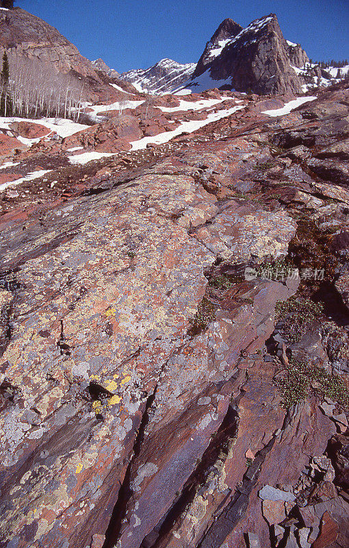 地衣苔藓岩石孤独峰荒野盐湖城犹他州