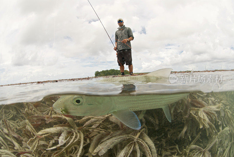 flyfishing为北梭鱼