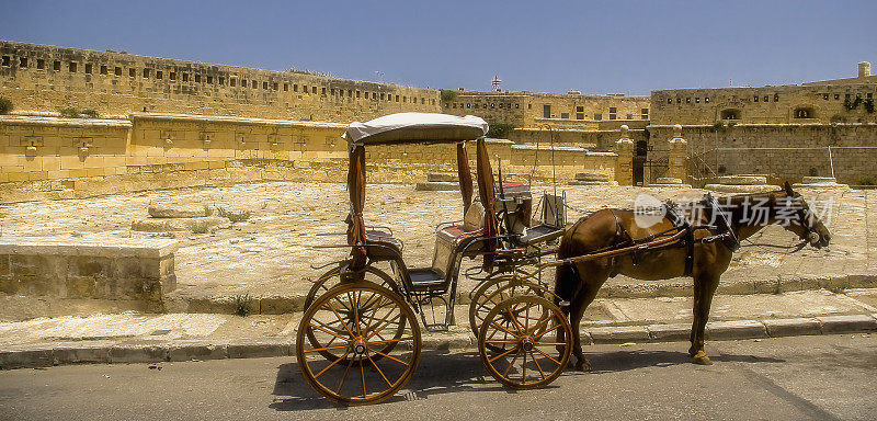 马和马车在一个古老的建筑前面
