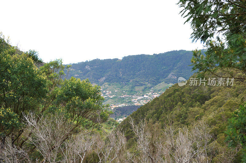 马契科和博卡里斯科之间的山谷-马德拉