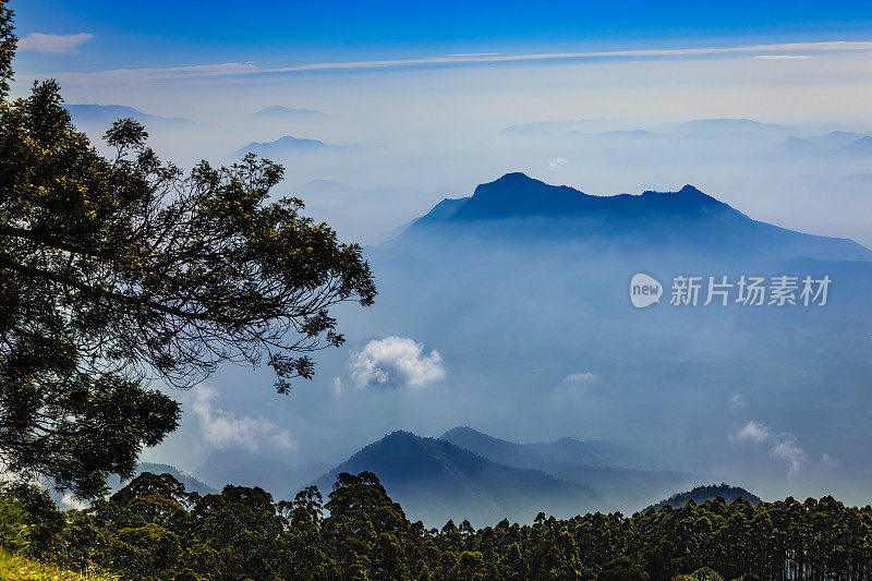 帕拉尼山，泰米尔纳德邦，印度:在不同的蓝色阴影的山的早晨视图，对比的绿色树木在前景。本空间