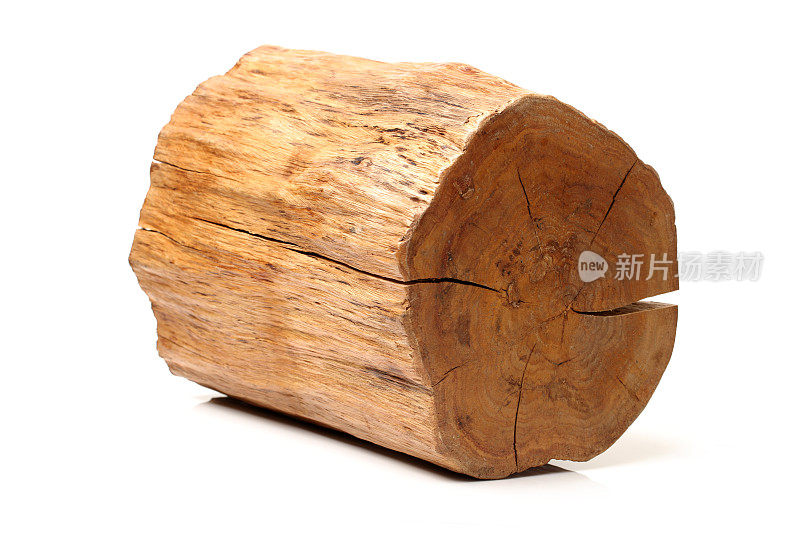 log被孤立在白色背景上的木头