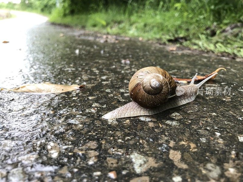 在路上易碎