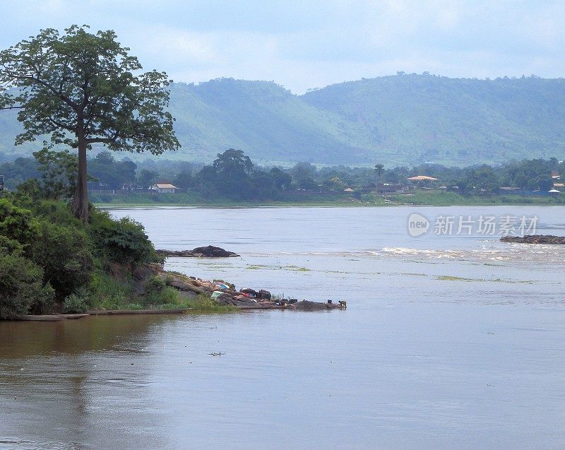 木棉树和乌班吉河，中非共和国